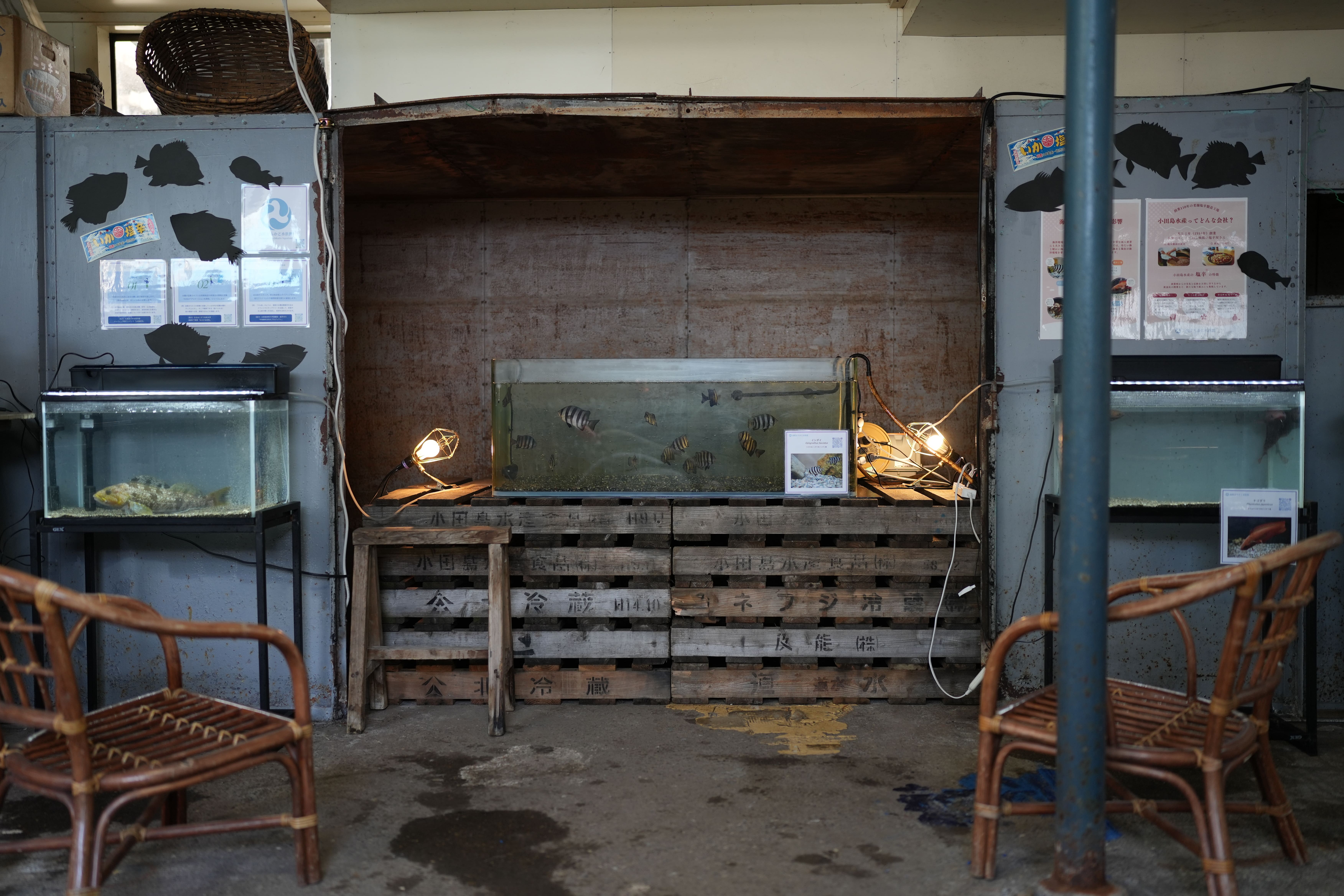 函館の街並みと海